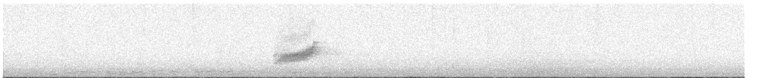 Long-tailed Koel - ML313015231