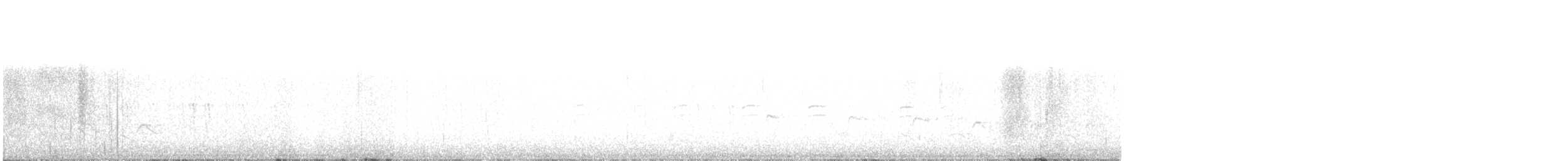 křivka bělokřídlá - ML313083781