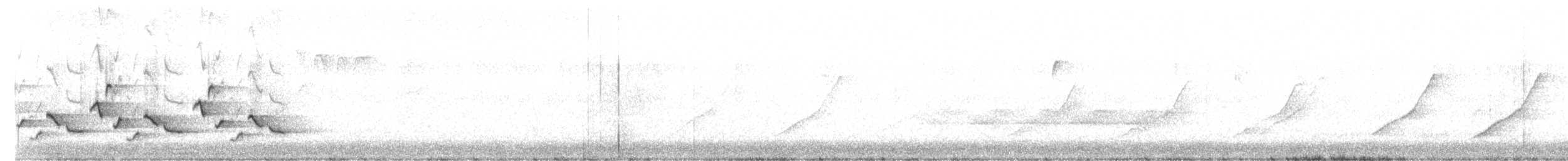 Каролинский крапивник - ML313085021