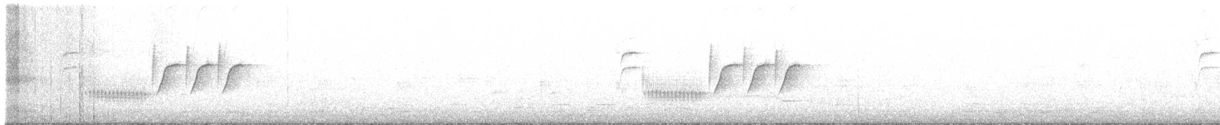 Troglodyte de Bewick - ML313100891