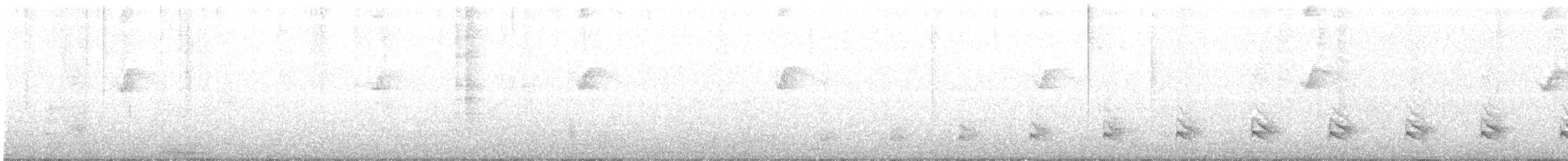 Chatham Islands Snipe - ML313101321