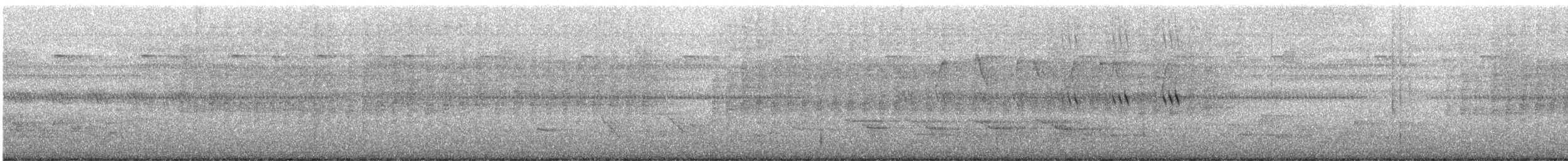 Kaplan Örümcekkuşu - ML313144951