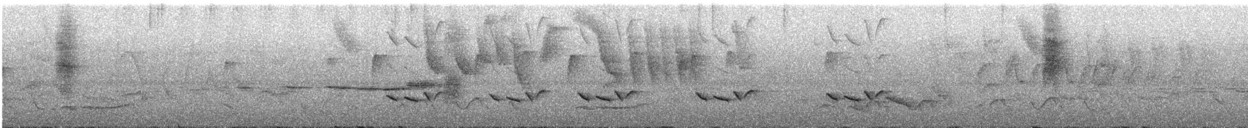 Cryptic Becard - ML313249031