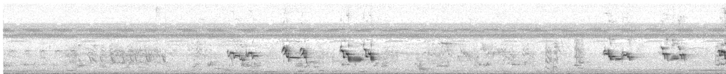 Schwarzschnabeldrossel - ML313283781