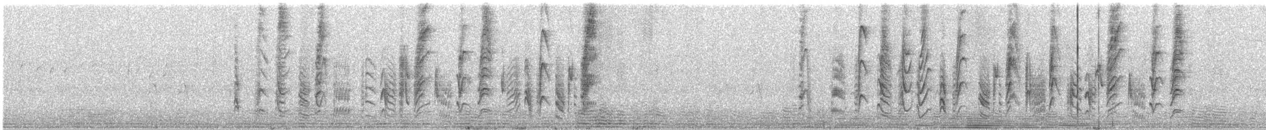 Vireo de Bell (arizonae) - ML313353461