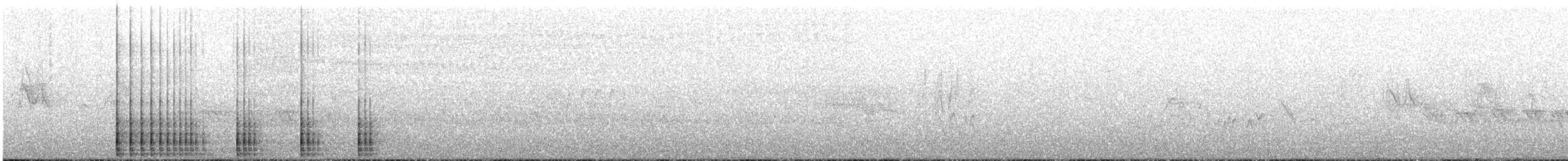 Сосновый дятел-сокоед - ML313400611