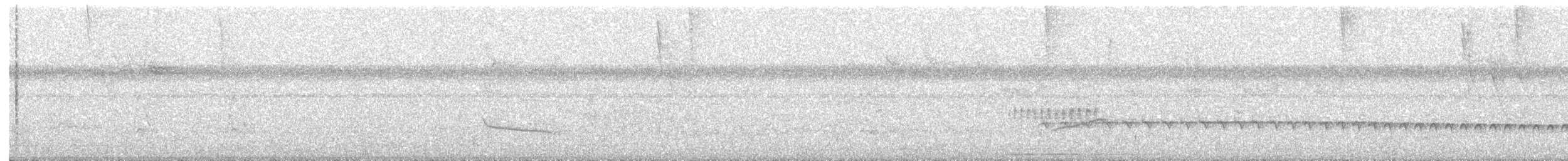 Weißstirn-Ameisenschnäpper - ML313423951