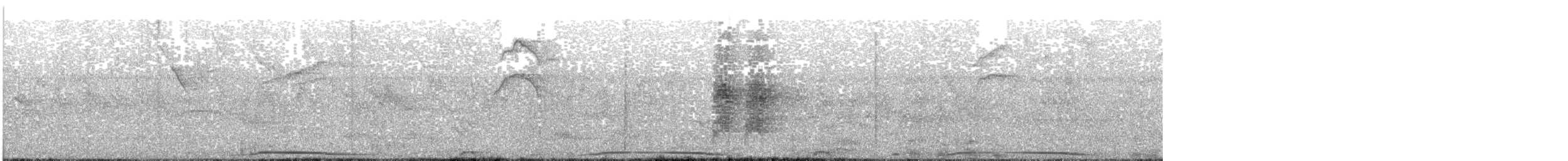 holub neotropický - ML313453501