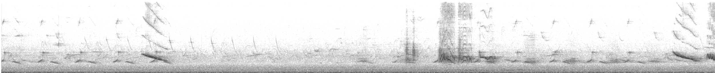 Doğulu Mavi Ardıç - ML313477191