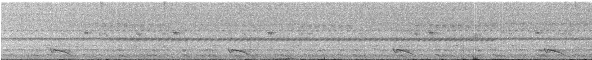 Ecuadornachtschwalbe - ML313477521