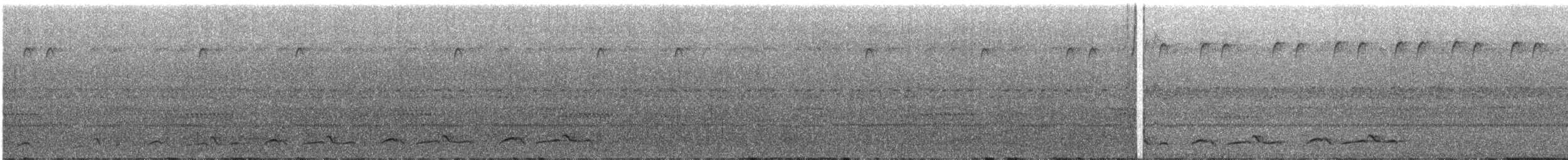Leierschwanz-Nachtschwalbe - ML313509761