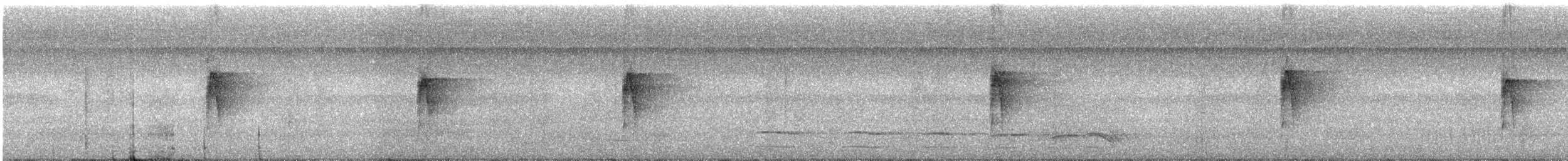 Тёмный тенелюб (peruvianus) - ML313600101