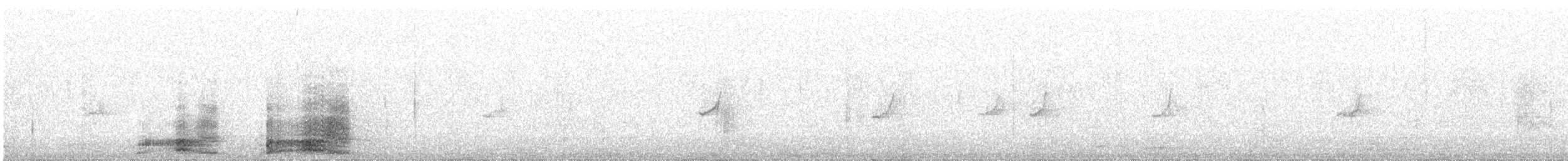 Francolin à cou roux (castaneicollis) - ML31365261