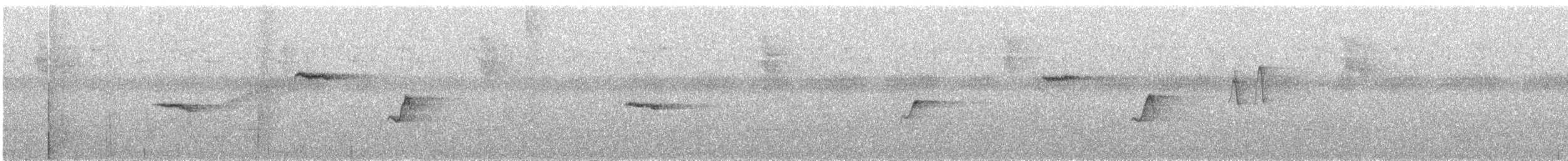 Краснохвостая джунглевая мухоловка (ocularis) - ML313731311