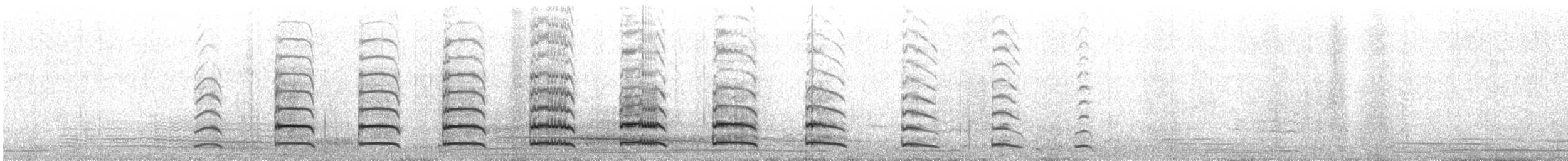 chaluha subantarktická (ssp. lonnbergi) - ML31374331