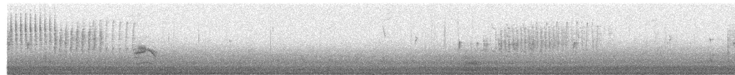 Marsh Wren (paludicola Group) - ML313833151