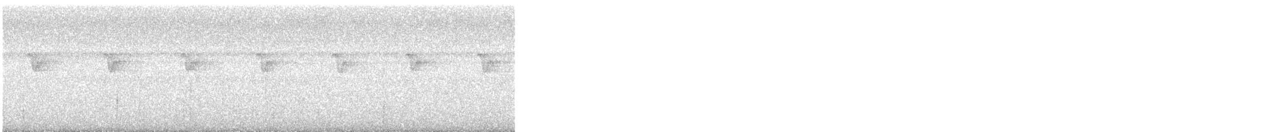 Белобородый колибри-отшельник - ML313835841