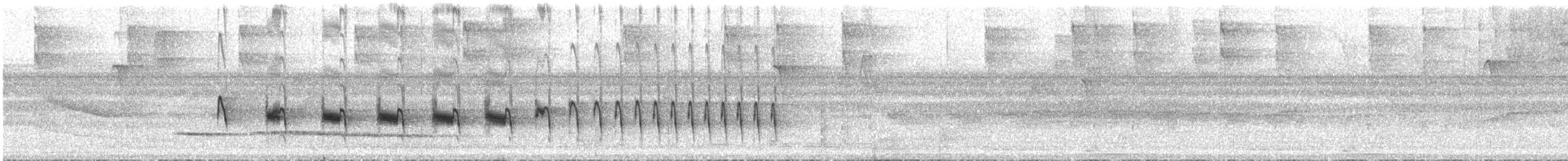 Weißbauch-Ameisenfänger - ML31400161