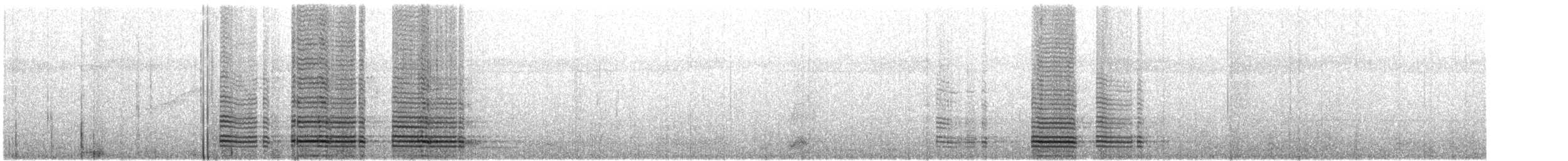 ibis dlouhoocasý - ML314014571