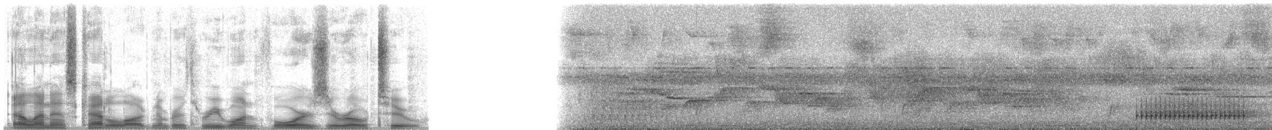 Smoky-brown Woodpecker - ML31402