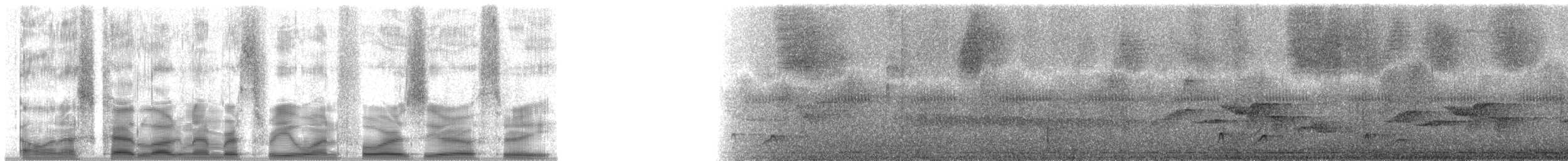 Ruddy Foliage-gleaner (Rusty) - ML31403