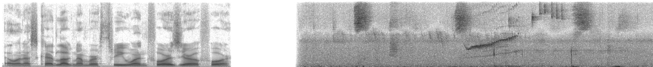 Silver-throated Tanager - ML31404