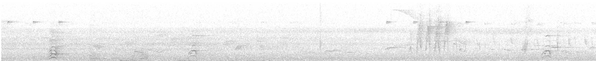 Calao des Sulu - ML314043971