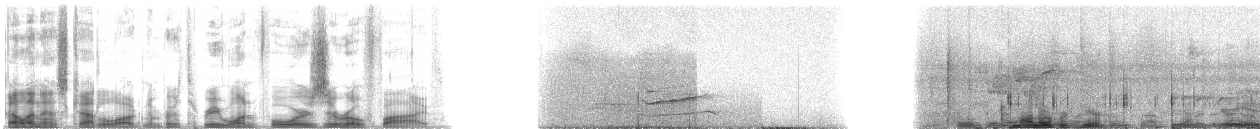 Brown-billed Scythebill - ML31405