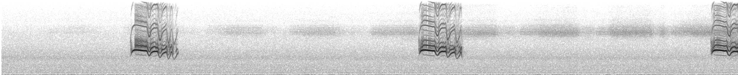 Солітаріо андійський (підвид plumbeiceps) - ML31406241