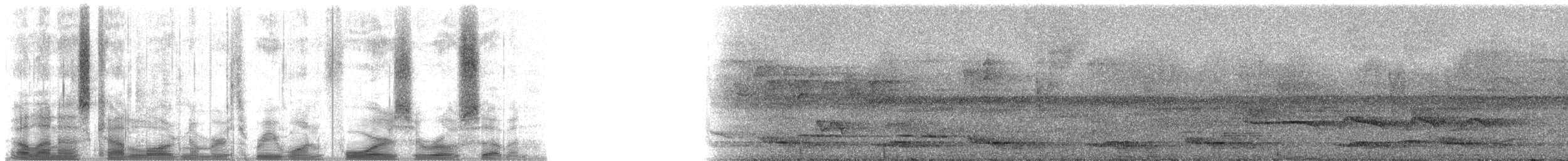 Spotted Wood-Quail - ML31407