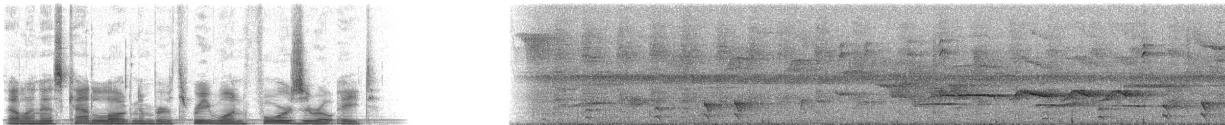 Barred Forest-Falcon - ML31408