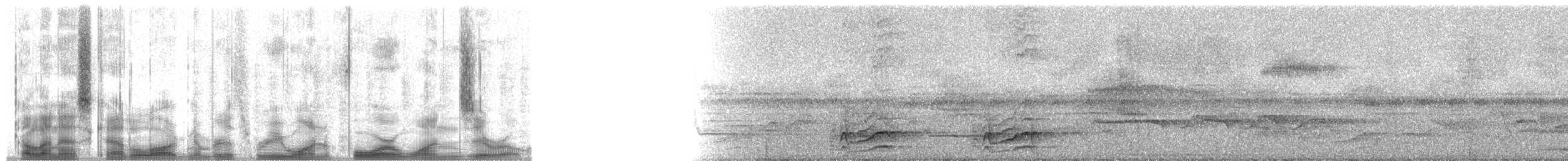 Ruddy Foliage-gleaner (Rusty) - ML31410