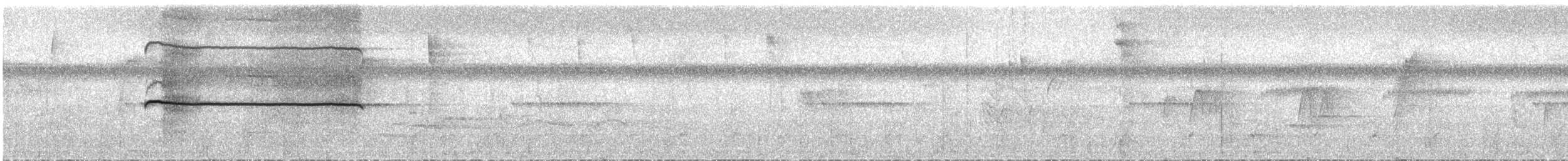 Сероголовая агуйла - ML31411561