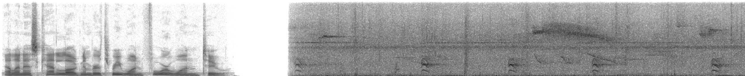 Barred Forest-Falcon - ML31412