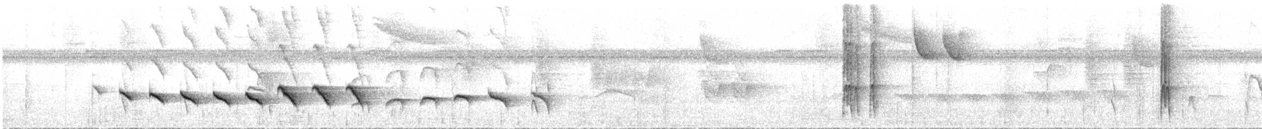 Stub-tailed Antbird - ML31412211