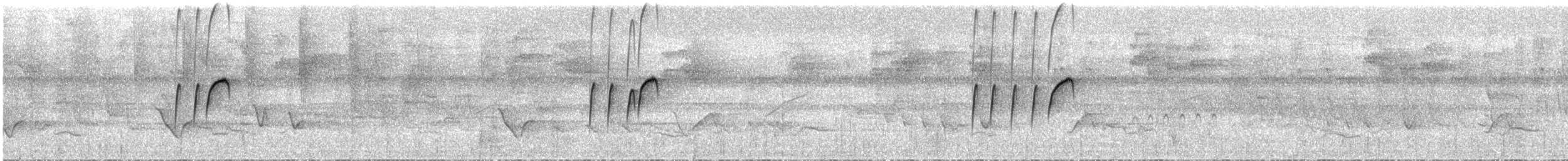 Kuzey Sorguçlu Sinekkapan (berlepschi) - ML31412321