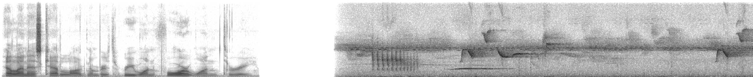 Slaty Spinetail - ML31413