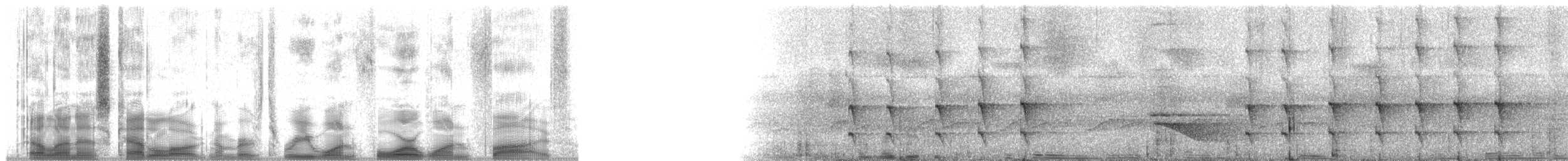 Western Woodhaunter - ML31415