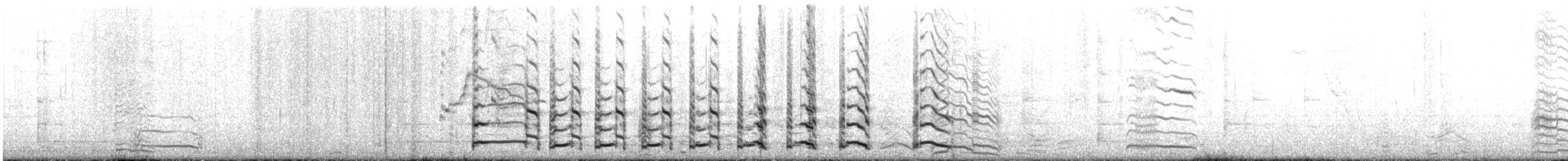 gråmåke - ML314188721