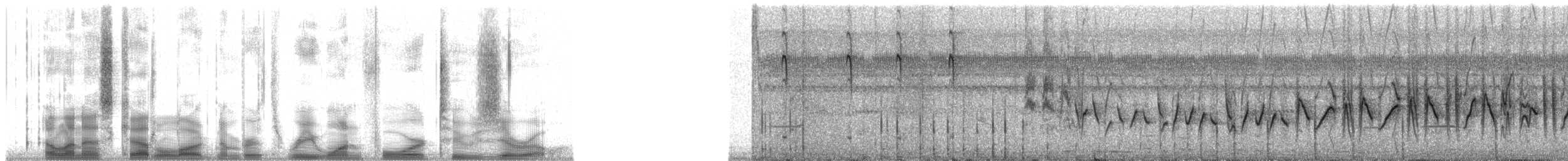 Olive-crowned Yellowthroat (Chiriqui) - ML31420
