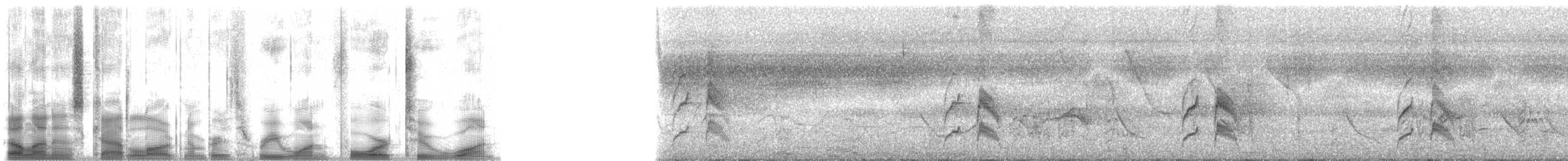 Pale-breasted Spinetail - ML31421