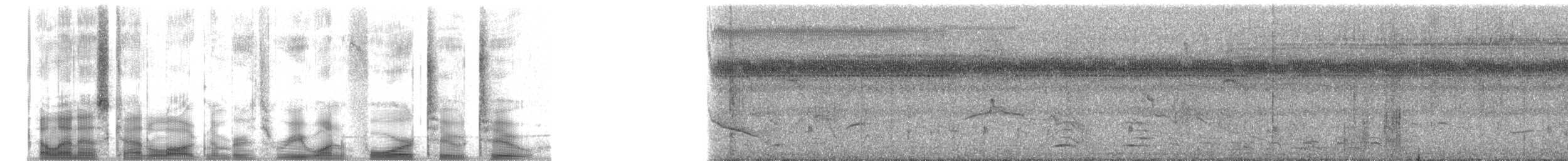 White-throated Crake (Rufous-faced) - ML31422