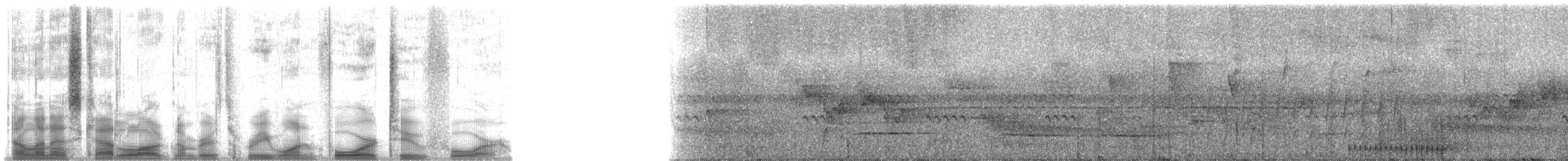 Smoky-brown Woodpecker - ML31424