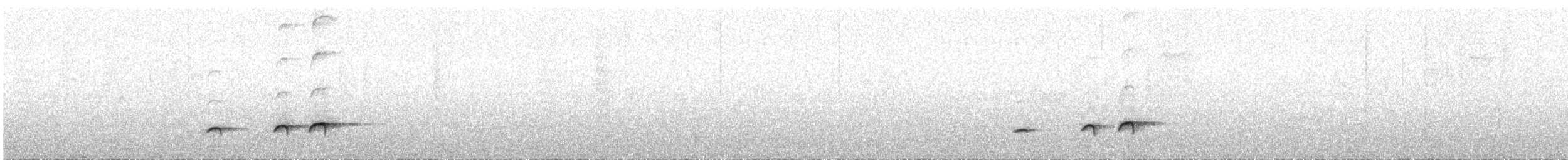 Grallaire d'Urrao - ML31432441