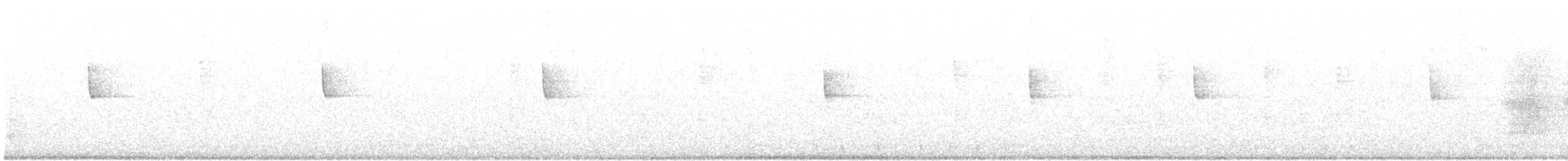 Paruline à capuchon - ML31434801