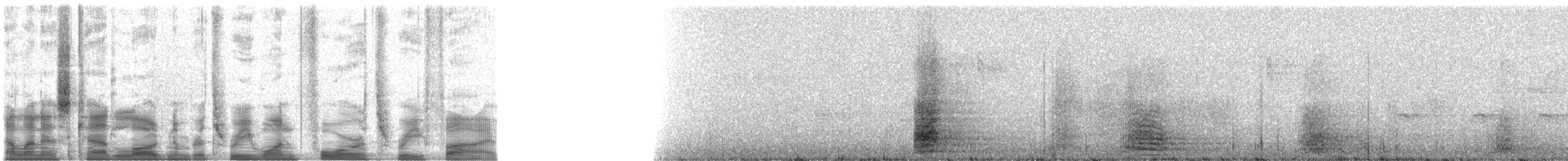 Чапля північна [група herodias] - ML31435