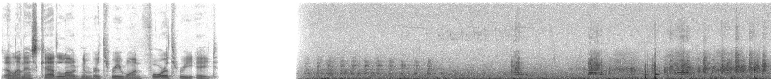 Чапля північна [група herodias] - ML31438