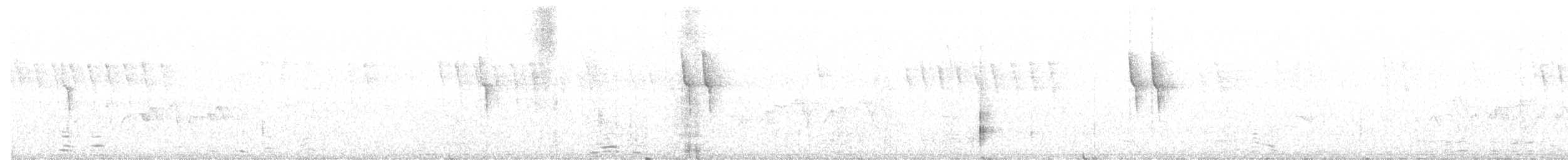 Вівчарик сичуанський - ML31440141