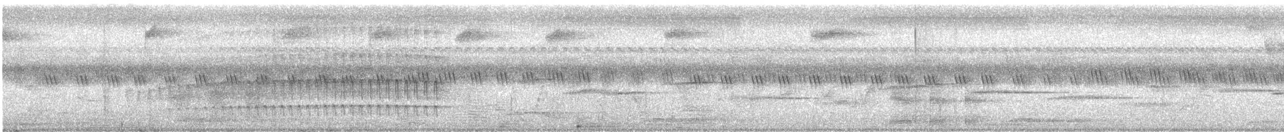 Сулуанский острокрылый дятел - ML314406081