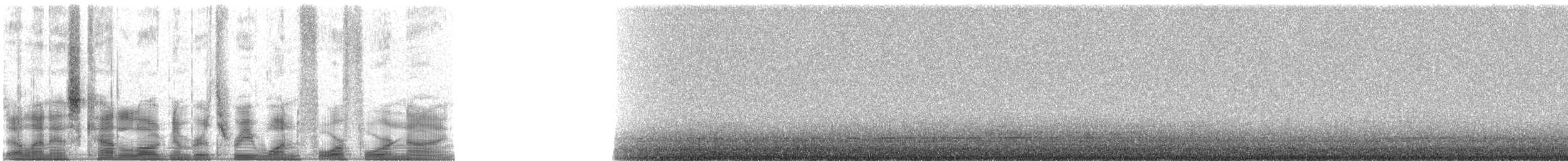 Чапля північна [група herodias] - ML31449